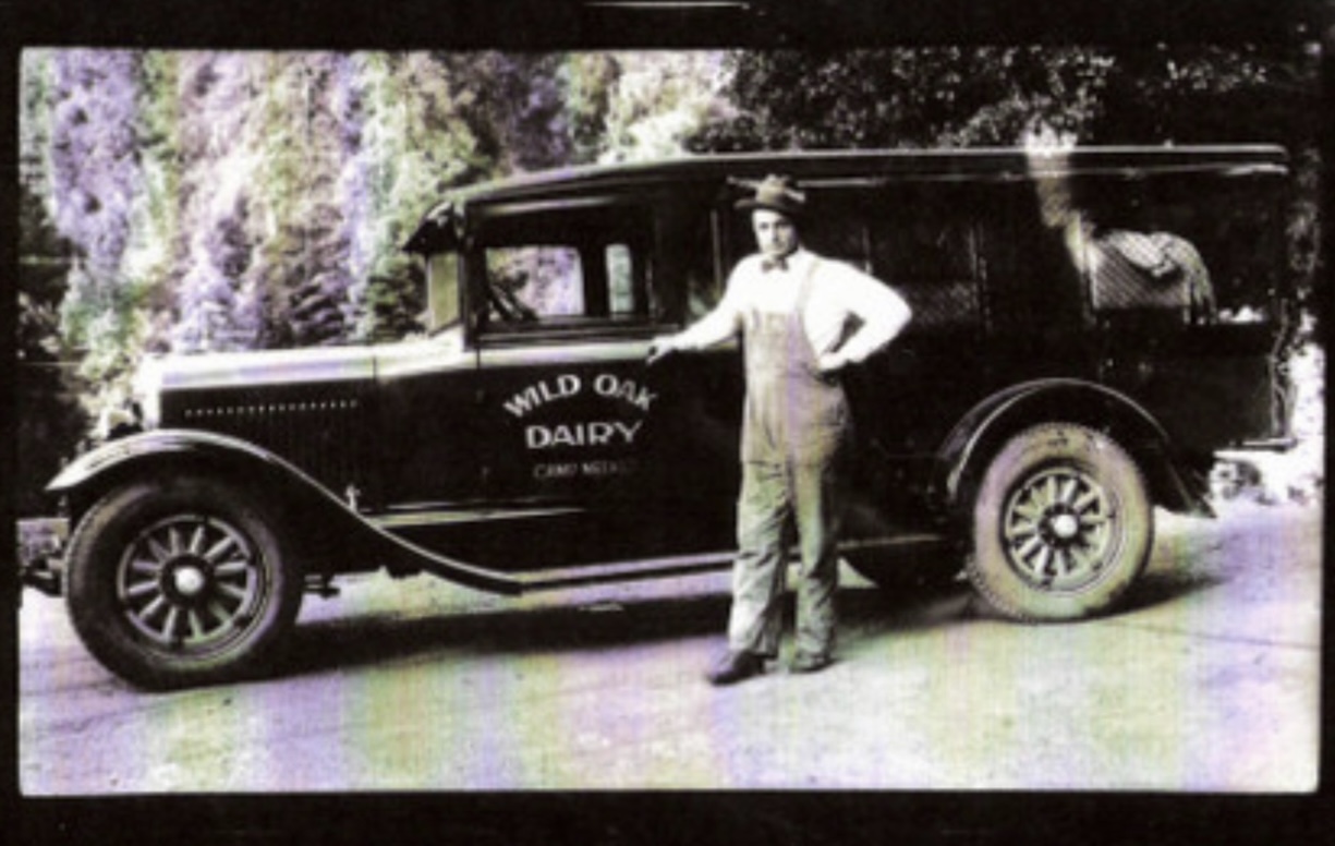 Vintage Wild Oak Dairy delivery truck with driver in overalls, Camp Meeker
